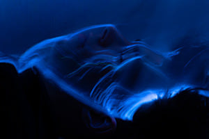 Blue Light Blue Light