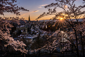 Rosengarten Bern