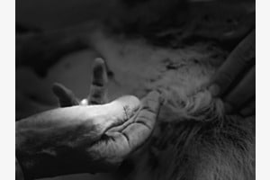 EMMETT, sanfte Therapie mit kraftvoller Wirkung