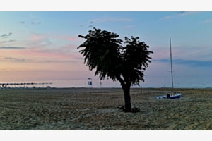 Ein Tag am Strand 