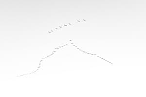 Flamingos Flamingos