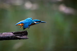 Take-off