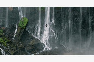 Schwalbe vor Wasserfall
