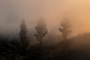 Der Nebel scchluckt jeden Laut