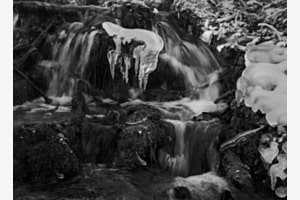 Frozen Frozen