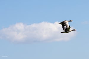 Flug zu zweit Flug zu zweit