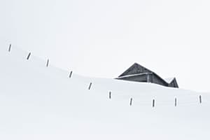 Winter Winter