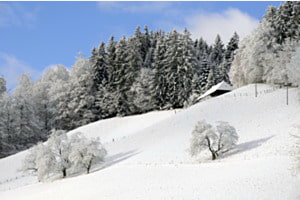 Wintertag im Emmental