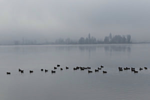 Familienausflug Familienausflug