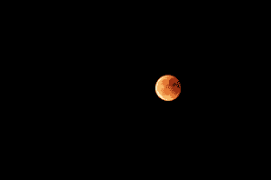 Moon Moon