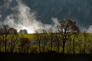 Nebelschwaden