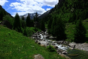 3erlei Wasser