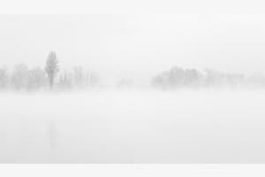 Stille