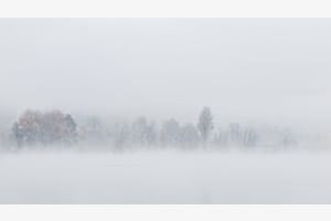Stille am See