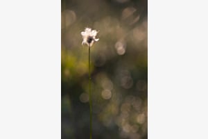 unter viele und doch allein unter viele und doch allein