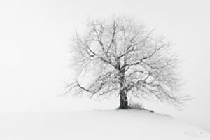 Stille