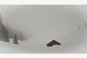 Perdu dans le brouillard 