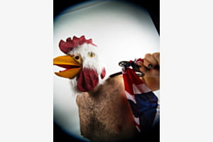 Post World Poultry 3