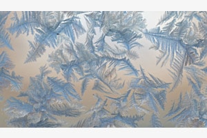 Eisblumen Eisblumen