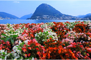Lac de Lugano