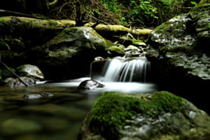 Gorges