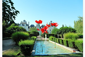 Coquelicot