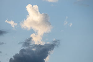Häschenwolke
