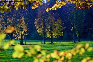 Herbstliche Abendstimmung Herbstliche Abendstimmung