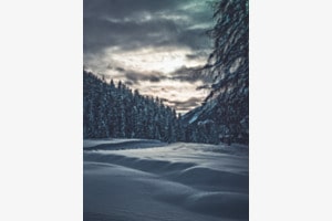 Schattenspiel im Schnee