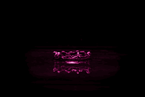 Splash