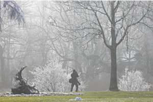 auch bei Nebel fotografieren auch bei Nebel fotografieren