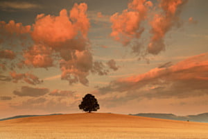 Golden light