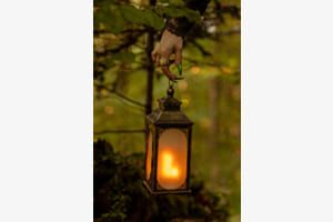 Ein Licht in der Stille