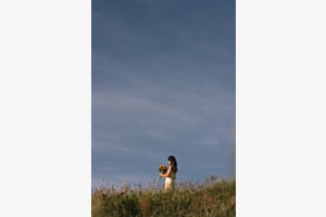 Sonnenblume