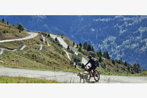 ,.Best friend, best trail."