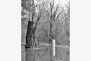 Wasser Wasser