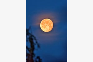Erdbeermond Erdbeermond