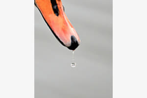 Kleine Welten