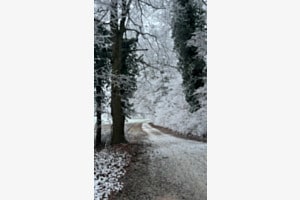 Wintertraum