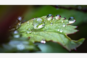 Wassertropfen
