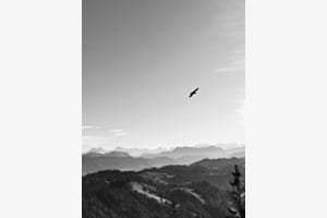 Berge