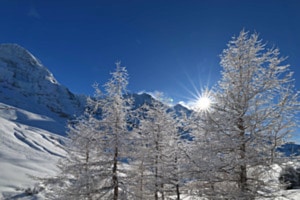 Winterzauber