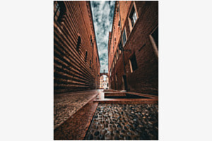 Nach dem Regen Nach dem Regen