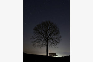 Im Einklang mit der Stille 