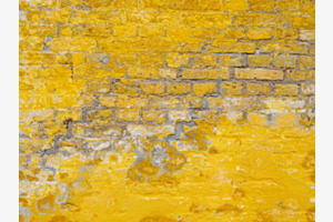 Mauergelb Mauergelb