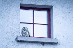 Gute Aussicht