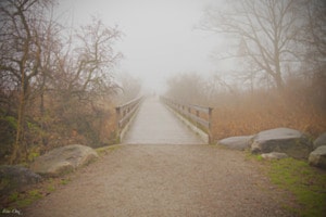 Nebel