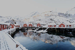 Lofoten