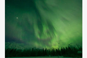 grüner Yukon