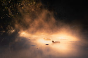 Morgendlicher Glanz Morgendlicher Glanz